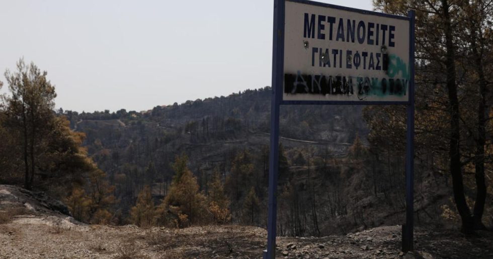 Στα αποκαΐδια ξαναβλασταίνει η ελπίδα